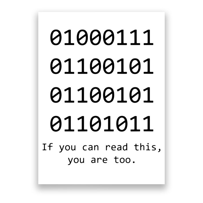 Funny Computer Binary Code Programmer Developer Geek Gift Poster