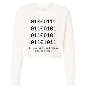 Funny Computer Binary Code Programmer Developer Geek Gift Cropped Pullover Crew