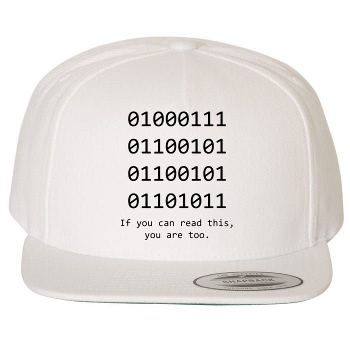 Funny Computer Binary Code Programmer Developer Geek Gift Wool Snapback Cap