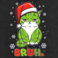 Funny Christmas Bruh Grumpy Grinch Cat 12oz Stainless Steel Coffee Mug