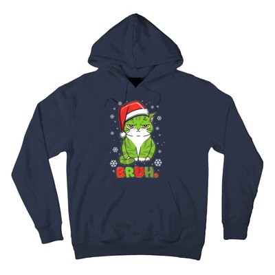 Funny Christmas Bruh Grumpy Grinch Cat Hoodie