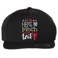 Funny Crawfish Boil Lover Im Here To Pinch Some Tailo In My Spare Time Wool Snapback Cap