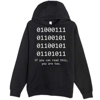 Funny Computer Binary Code Programmer Developer Geek Gift Great Gift Premium Pullover Hoodie