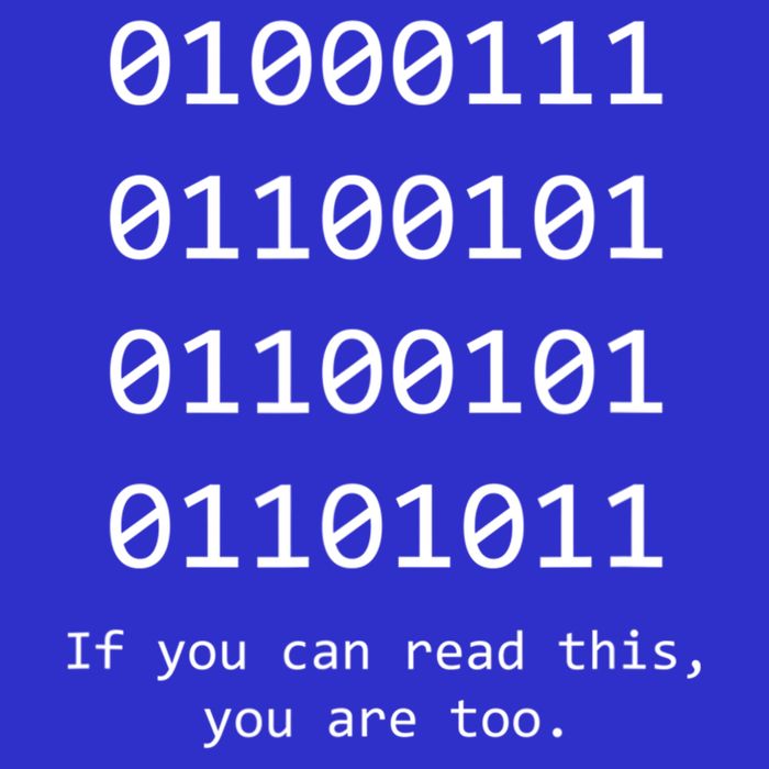 Funny Computer Binary Code Programmer Developer Geek Gift Great Gift Magnet
