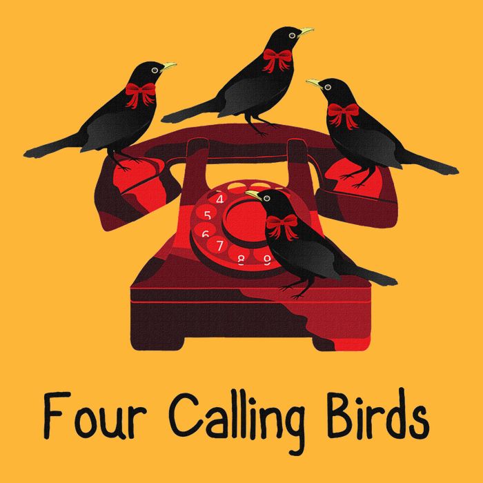 Four Calling Birds Funny Twelve Days Of Christmas Pom Pom 12in Knit Beanie