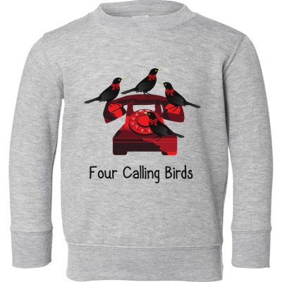 Four Calling Birds Funny Twelve Days Of Christmas Toddler Sweatshirt