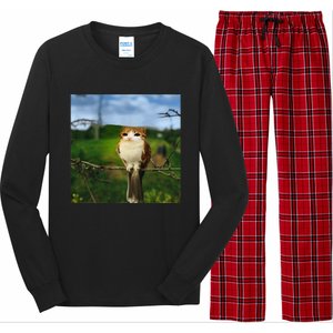 Funny Cat Bird Meme Brainrot Gen Z Bird Cat Meme Long Sleeve Pajama Set