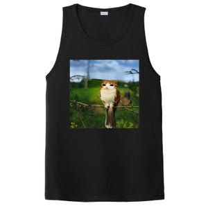 Funny Cat Bird Meme Brainrot Gen Z Bird Cat Meme PosiCharge Competitor Tank