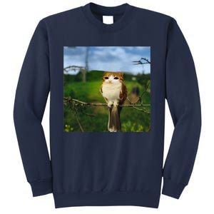 Funny Cat Bird Meme Brainrot Gen Z Bird Cat Meme Sweatshirt