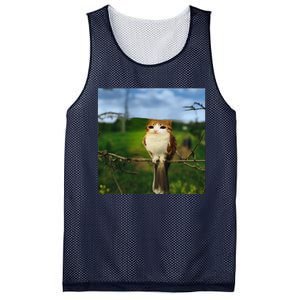 Funny Cat Bird Meme Brainrot Gen Z Bird Cat Meme Mesh Reversible Basketball Jersey Tank