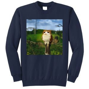 Funny Cat Bird Meme Brainrot Gen Z Bird Cat Meme Tall Sweatshirt