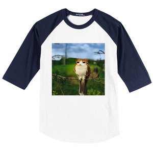 Funny Cat Bird Meme Brainrot Gen Z Bird Cat Meme Baseball Sleeve Shirt