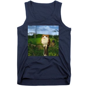 Funny Cat Bird Meme Brainrot Gen Z Bird Cat Meme Tank Top