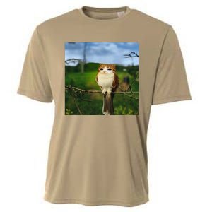 Funny Cat Bird Meme Brainrot Gen Z Bird Cat Meme Cooling Performance Crew T-Shirt