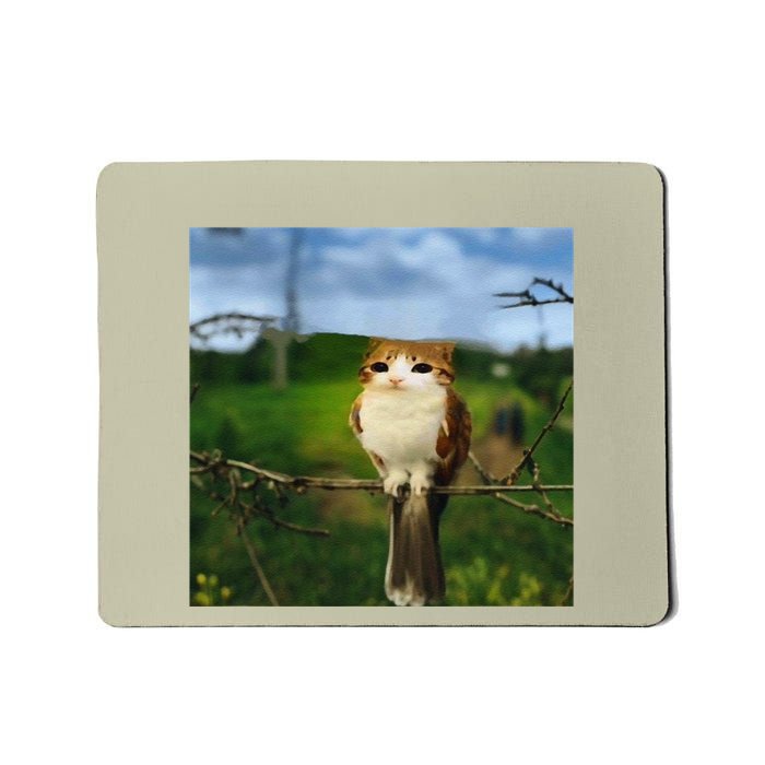 Funny Cat Bird Meme Brainrot Gen Z Bird Cat Meme Mousepad