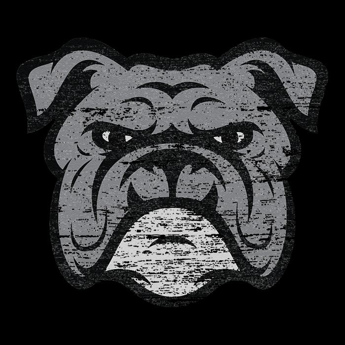 Funny Cool Bulldog Dog Lover Gifts Idea 7-Panel Snapback Hat