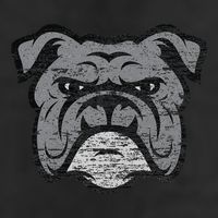 Funny Cool Bulldog Dog Lover Gifts Idea 11oz C Handle Ceramic Mug
