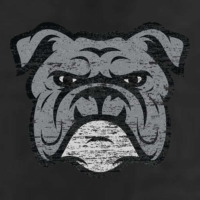 Funny Cool Bulldog Dog Lover Gifts Idea 11oz C Handle Ceramic Mug