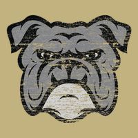 Funny Cool Bulldog Dog Lover Gifts Idea Cooling Performance Crew T-Shirt