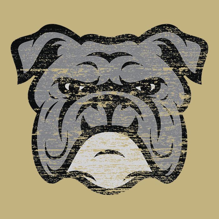 Funny Cool Bulldog Dog Lover Gifts Idea Cooling Performance Crew T-Shirt