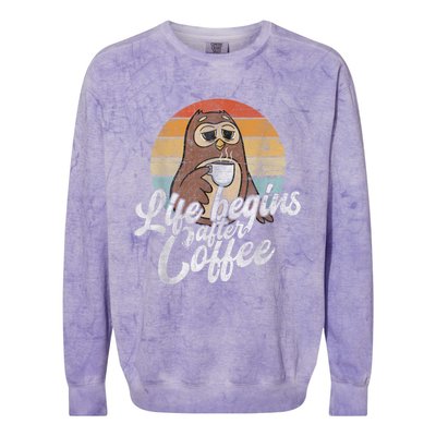 Funny Coffee , Coffee Lover Gifts, Owl Tees Colorblast Crewneck Sweatshirt