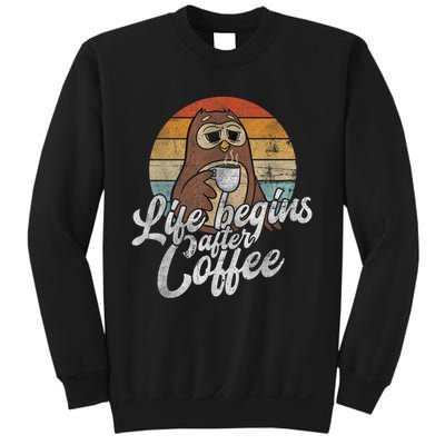 Funny Coffee , Coffee Lover Gifts, Owl Tees Sweatshirt