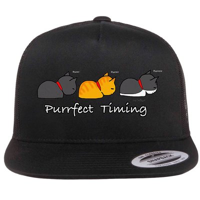 Funny Cat Cute Cat Kitten Purrfect Timing Flat Bill Trucker Hat
