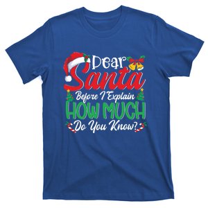 Funny Christmas Cool Gift Adults Dear Santa I Can Explain Gift T-Shirt