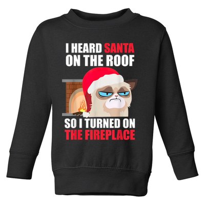 Funny Christmas Cat Hates Santa Grumpy Annoyed Cats Toddler Sweatshirt