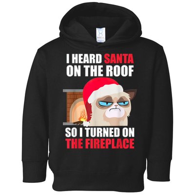 Funny Christmas Cat Hates Santa Grumpy Annoyed Cats Toddler Hoodie