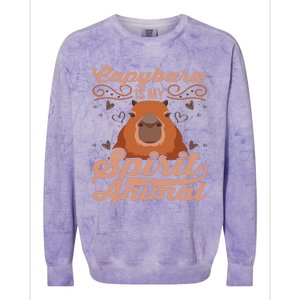 Funny Capybara Capybara Is My Spirit Animal Colorblast Crewneck Sweatshirt