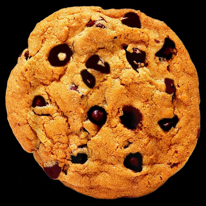 Funny Chocolate Chip Cookie Costume Gift Last Minute Lazy Party Gift City Backpack