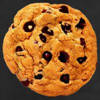 Funny Chocolate Chip Cookie Costume Gift Last Minute Lazy Party Gift Adult Drive Performance Visor