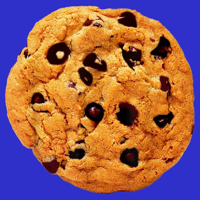 Funny Chocolate Chip Cookie Costume Gift Last Minute Lazy Party Gift 16 in Basic Backpack