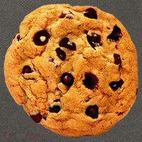 Funny Chocolate Chip Cookie Costume Gift Last Minute Lazy Party Gift Cotton Canvas Backpack