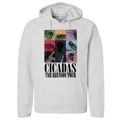 Funny Cicada Concert Eras Reunion 2024 Reunion Cicada Performance Fleece Hoodie