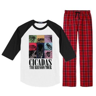 Funny Cicada Concert Eras Reunion 2024 Reunion Cicada Raglan Sleeve Pajama Set