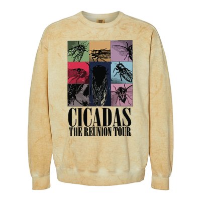 Funny Cicada Concert Eras Reunion 2024 Reunion Cicada Colorblast Crewneck Sweatshirt