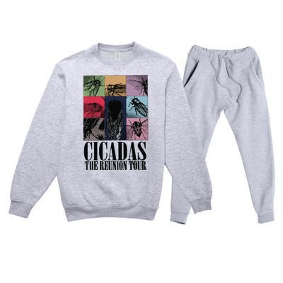 Funny Cicada Concert Eras Reunion 2024 Reunion Cicada Premium Crewneck Sweatsuit Set