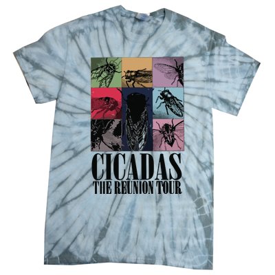 Funny Cicada Concert Eras Reunion 2024 Reunion Cicada Tie-Dye T-Shirt