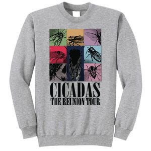 Funny Cicada Concert Eras Reunion 2024 Reunion Cicada Tall Sweatshirt