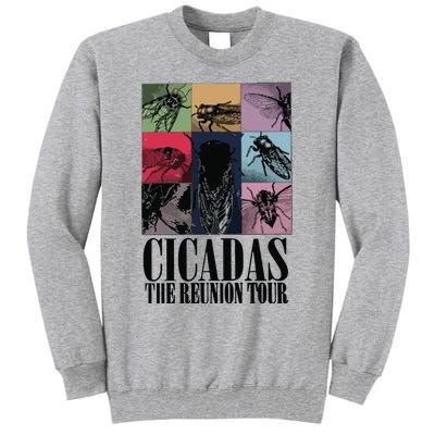 Funny Cicada Concert Eras Reunion 2024 Reunion Cicada Tall Sweatshirt