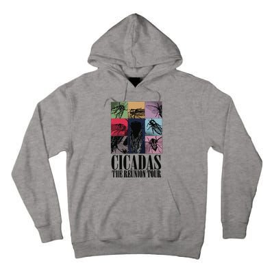 Funny Cicada Concert Eras Reunion 2024 Reunion Cicada Tall Hoodie