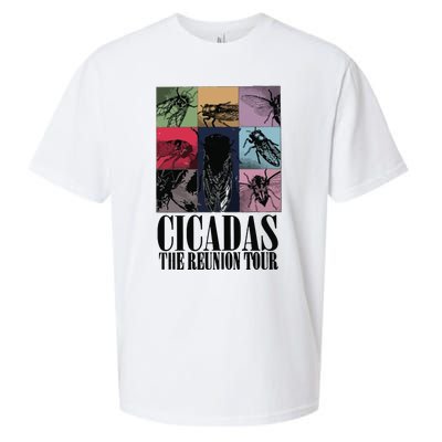 Funny Cicada Concert Eras Reunion 2024 Reunion Cicada Sueded Cloud Jersey T-Shirt