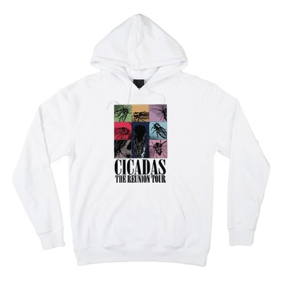 Funny Cicada Concert Eras Reunion 2024 Reunion Cicada Hoodie