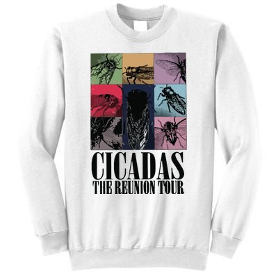 Funny Cicada Concert Eras Reunion 2024 Reunion Cicada Sweatshirt