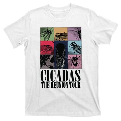 Funny Cicada Concert Eras Reunion 2024 Reunion Cicada T-Shirt