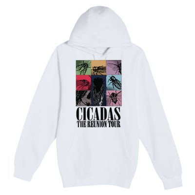 Funny Cicada Concert Eras Reunion 2024 Reunion Cicada Premium Pullover Hoodie