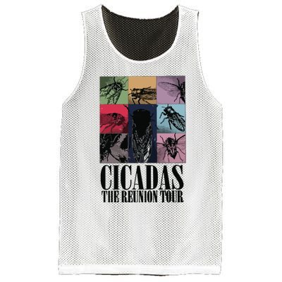 Funny Cicada Concert Eras Reunion 2024 Reunion Cicada Mesh Reversible Basketball Jersey Tank