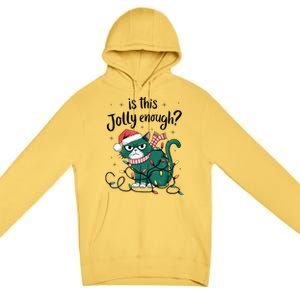 Funny Cat Christmas Ornats Matching Costume Gift Premium Pullover Hoodie